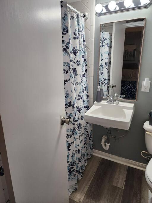Blue Shark *W7* @ Montrose 1Br Private King Loft Leilighet Houston Eksteriør bilde